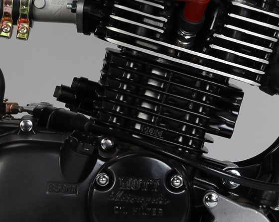 Mutt Mongrel 125cc view of engine